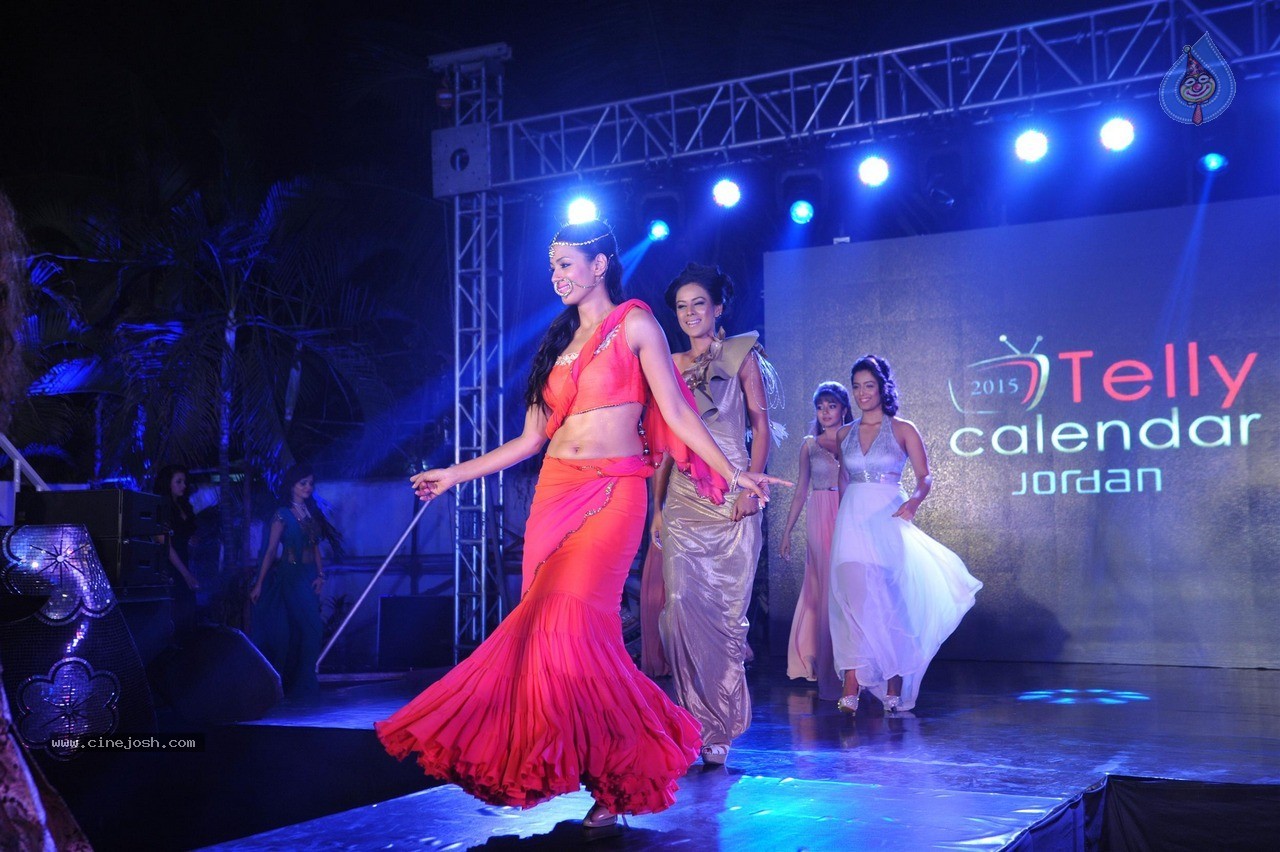 TV Celebs Walk The Ramp at Telly Calendar 2015 Launch - 93 / 98 photos