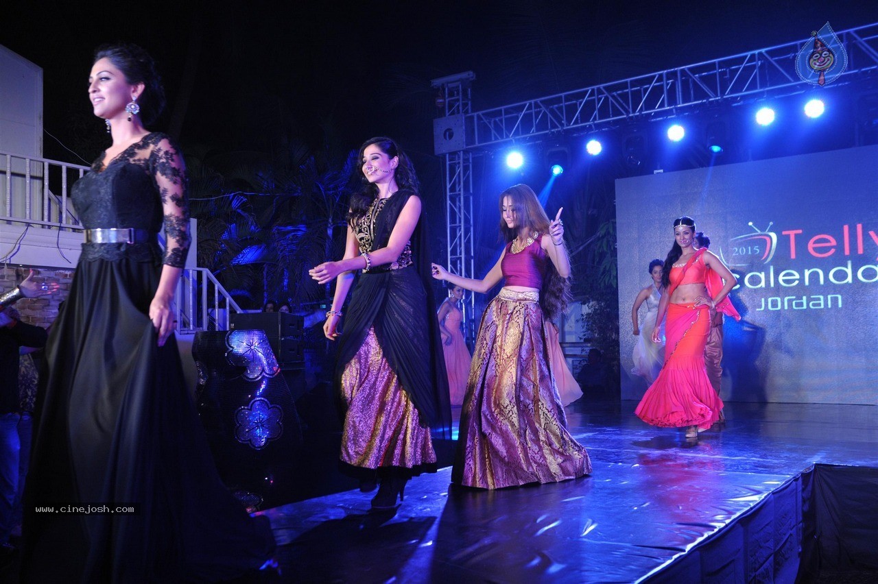 TV Celebs Walk The Ramp at Telly Calendar 2015 Launch - 94 / 98 photos