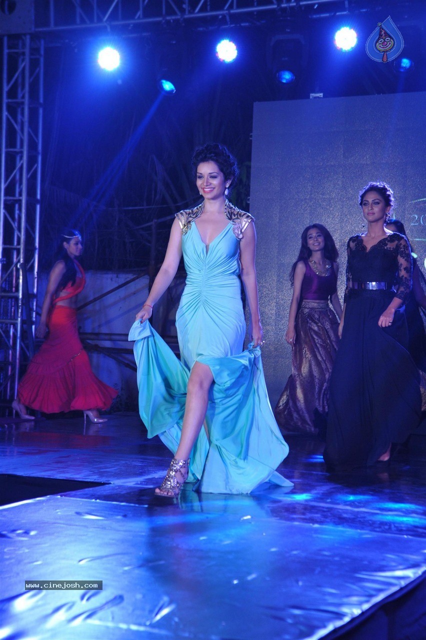 TV Celebs Walk The Ramp at Telly Calendar 2015 Launch - 98 / 98 photos