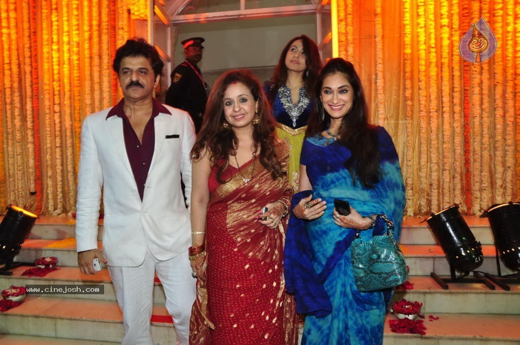 Udita Goswami & Mohit Suri Wedding Ceremony - 5 / 81 photos