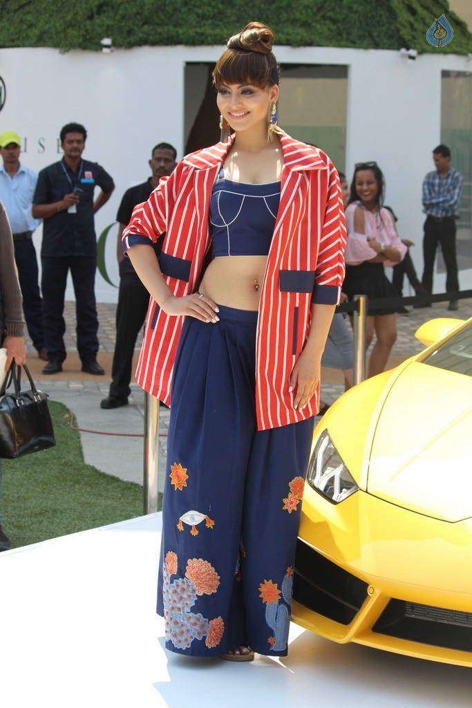 Urvashi Rautela at LFW Summer 2017 - 27 / 37 photos