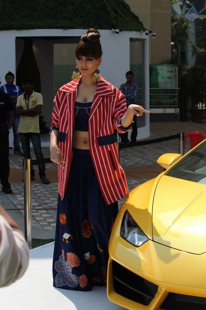 Urvashi Rautela at LFW Summer 2017 - 28 / 37 photos