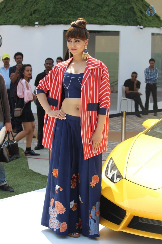 Urvashi Rautela at LFW Summer 2017 - 29 / 37 photos