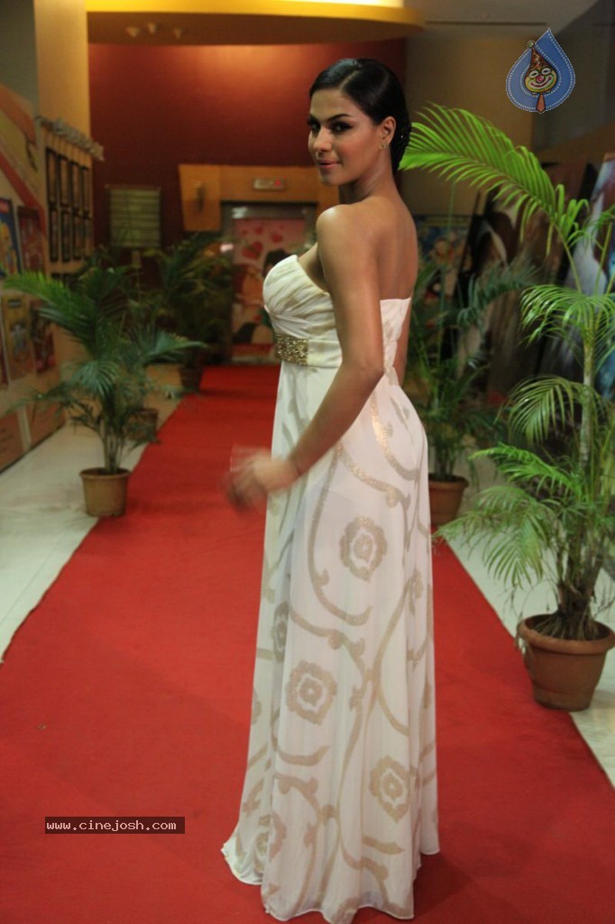 Veena Malik at Zindagi 50 50 Premiere - 19 / 29 photos