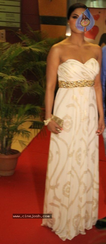 Veena Malik at Zindagi 50 50 Premiere - 28 / 29 photos