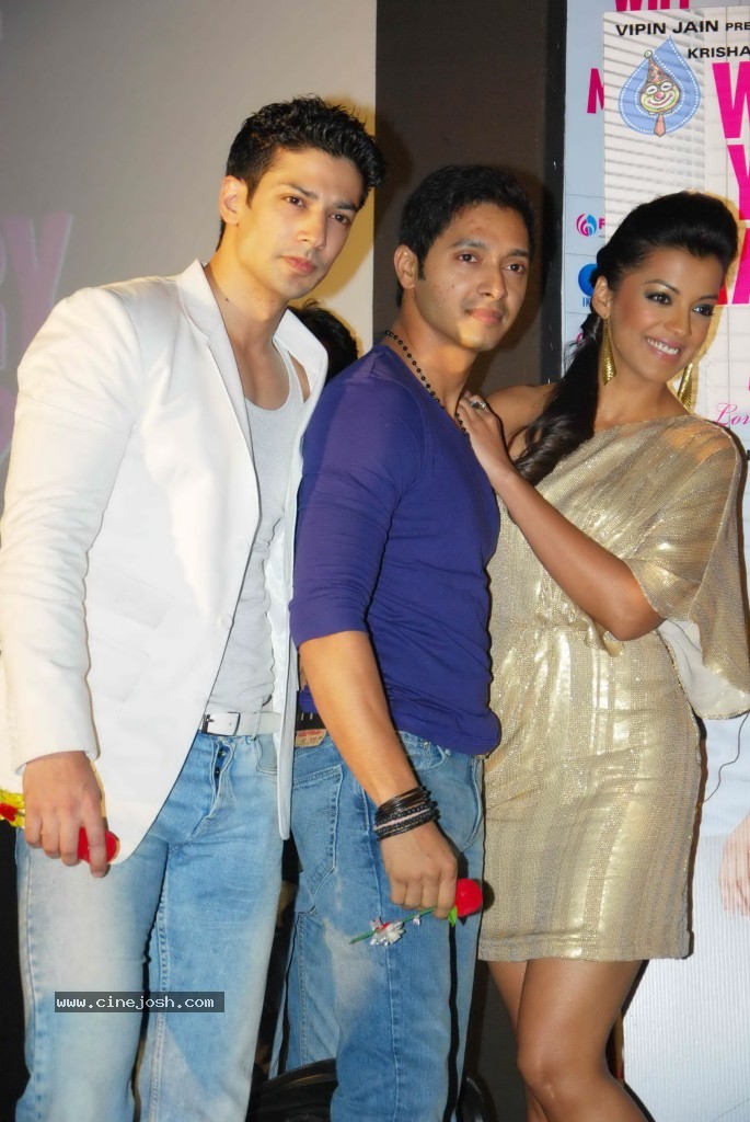 Will You Marry Me Bollywood Movie Audio Launch - 31 / 71 photos