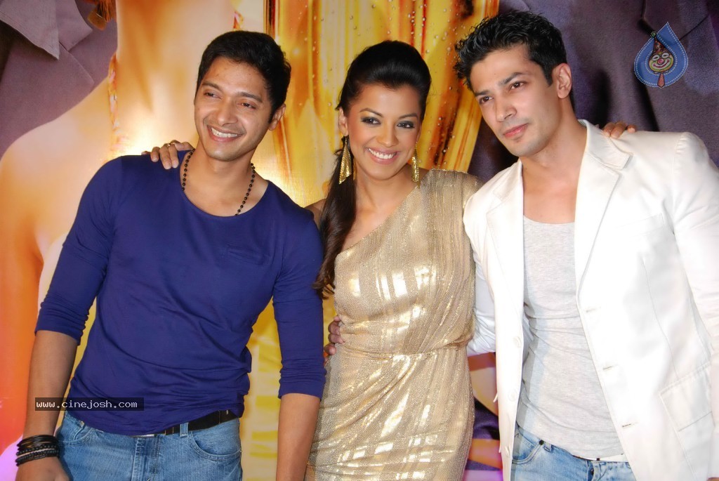 Will You Marry Me Bollywood Movie Audio Launch - 47 / 71 photos