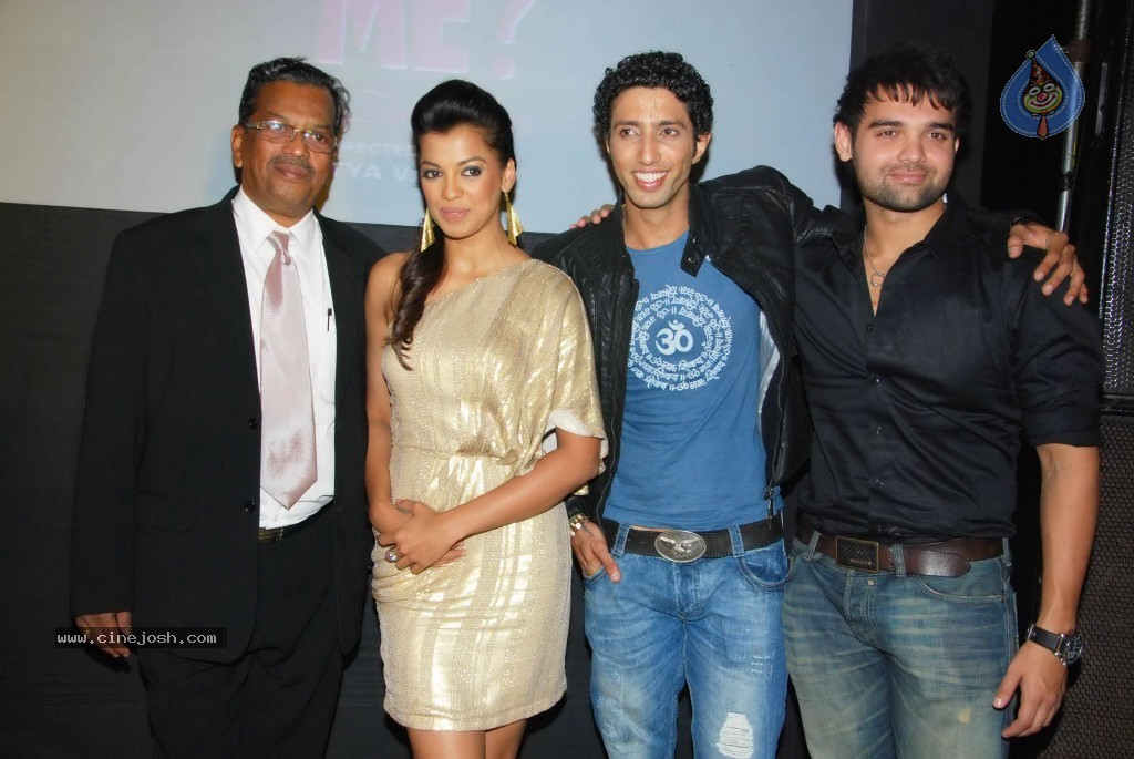Will You Marry Me Bollywood Movie Audio Launch - 58 / 71 photos