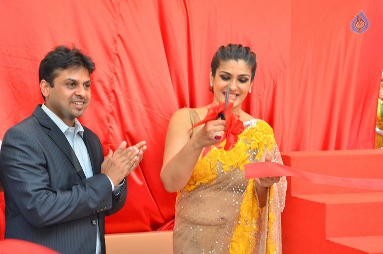 World Biggest Besan Ladoo Unveiling - 2 / 21 photos