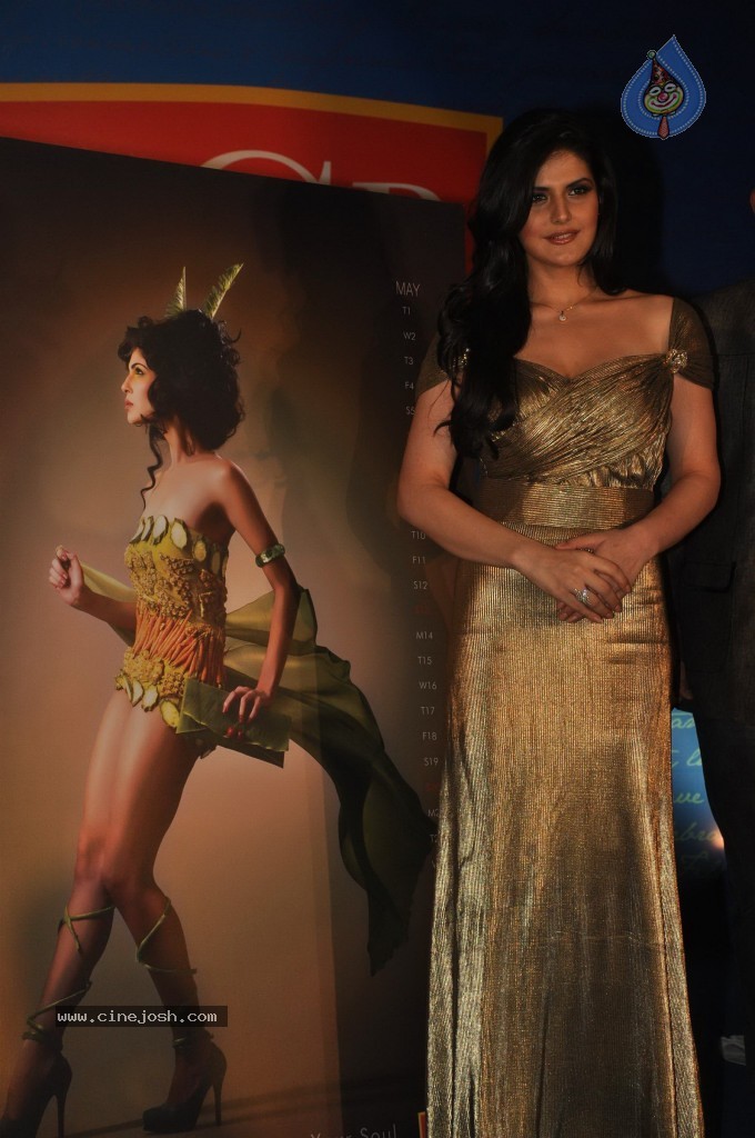 Zarine Khan Launches Vegetarian Calendar - 9 / 36 photos