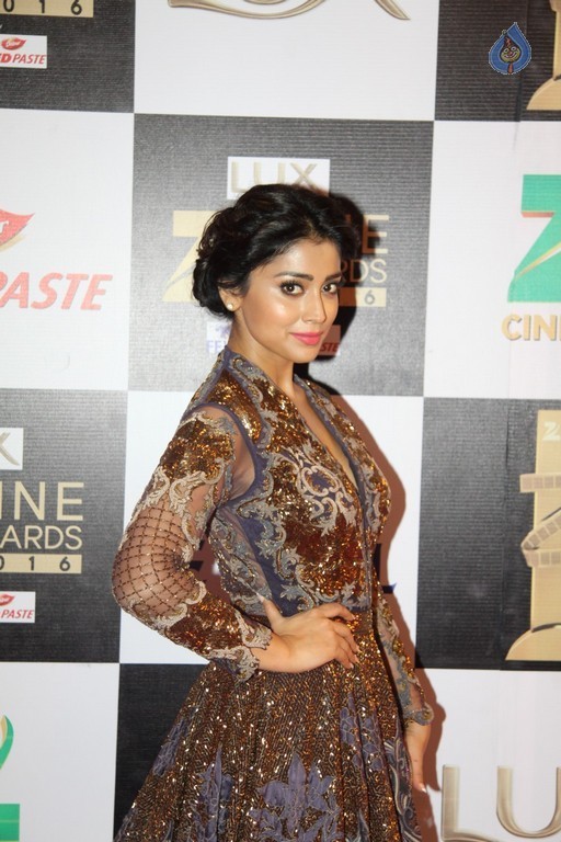 Zee Cine Awards 2016 Photos - 21 / 81 photos