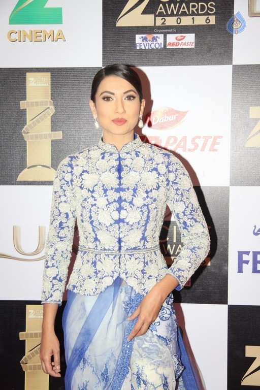 Zee Cine Awards 2016 Photos - 31 / 81 photos