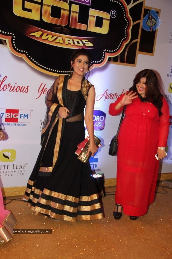 ZEE TV 8th Boroplus Gold Awards 2015 - 10 / 99 photos