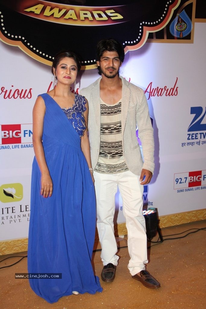 ZEE TV 8th Boroplus Gold Awards 2015 - 18 / 99 photos