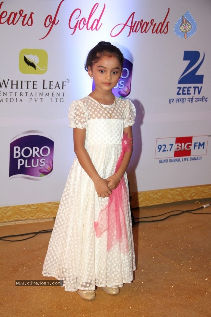 ZEE TV 8th Boroplus Gold Awards 2015 - 21 / 99 photos