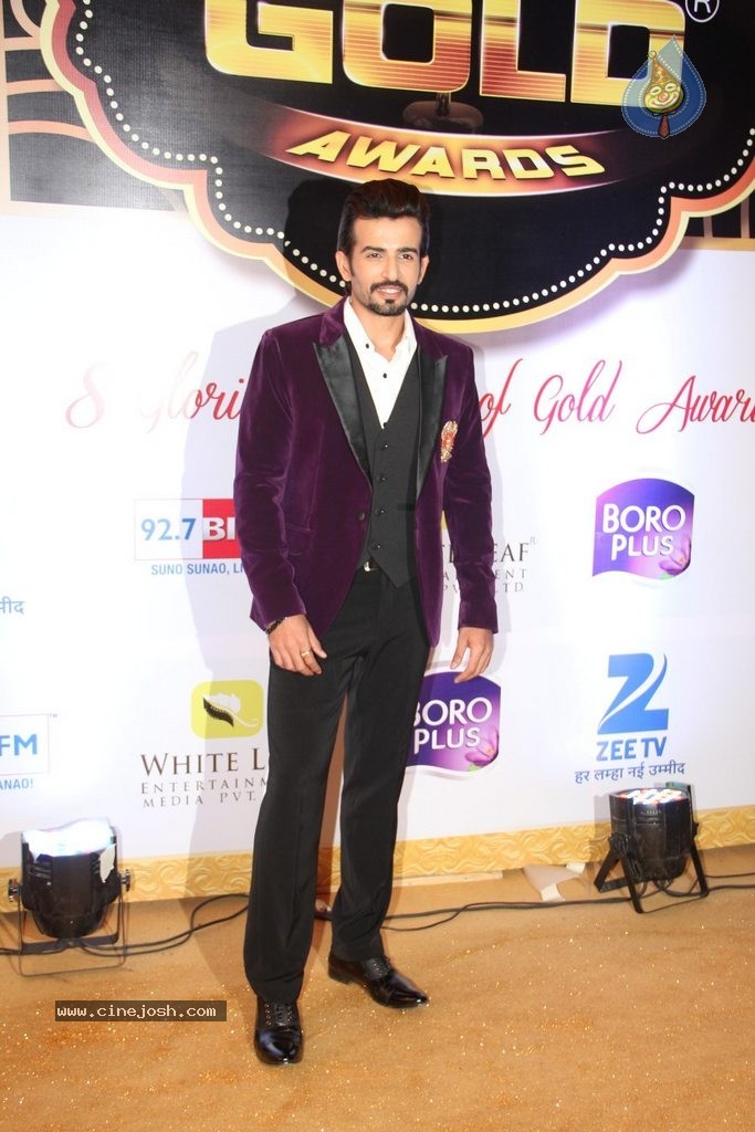 ZEE TV 8th Boroplus Gold Awards 2015 - 34 / 99 photos