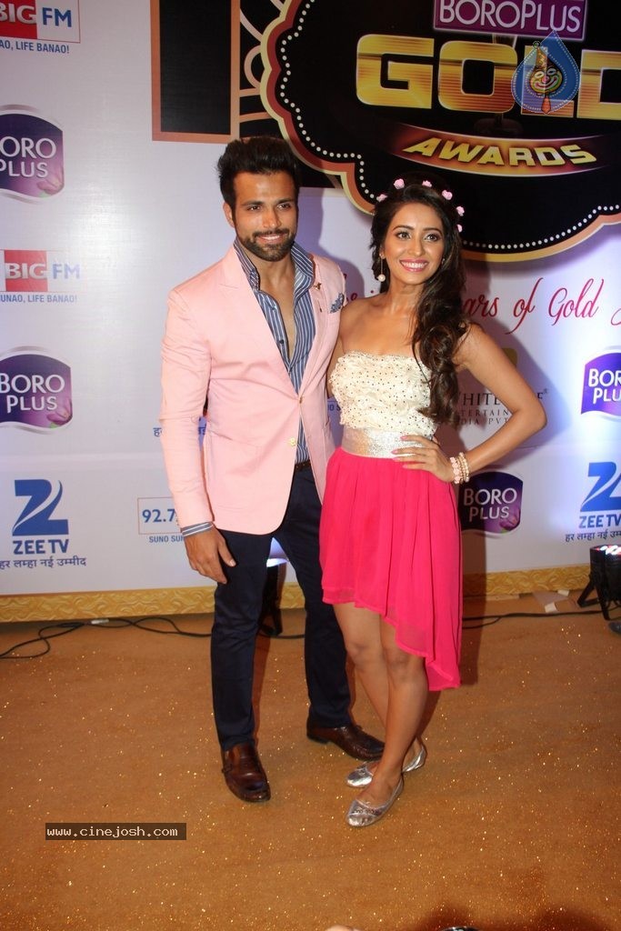 ZEE TV 8th Boroplus Gold Awards 2015 - 92 / 99 photos