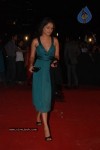 All Bollywood Stars At 16th Nokia Star Screen Awards Ceremony - 76 of 105