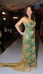 Amy Billimorias Eco Art Fashion Initiative Earth 21 - 33 of 73