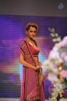 Beti Show by Gitanjali at IIJW 2015 - 47 of 96