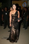 Bolly Celebs 55th Idea Flim Fare Awards  - 80 of 68