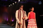 Bolly Celebs at 5th Annual Mijwan Fashion Show - 71 of 104