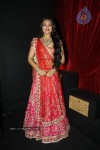 Bolly Celebs at Aamby Valley India Bridal Fashion Week - 4 of 54