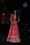 Bolly Celebs at Aamby Valley India Bridal Fashion Week - 9 of 54