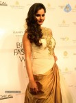Bolly Celebs at Aamby Valley India Bridal Week 2013 - 76 of 84