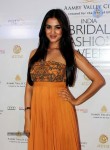 Bolly Celebs at Aamby Valley India Bridal Week 2013 - 80 of 84