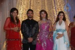 Bolly Celebs at Banpreet Singh Son Wedding - 30 of 41