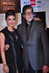 Bolly Celebs at Big Entertainment Awards 2014 - 70 of 110