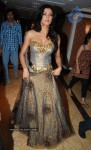 Bolly Celebs at Blenders Pride Fashion Show 2010 - 30 of 112