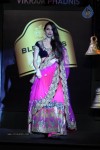 Bolly Celebs at Blenders Pride Fashion Tour 2013 - 106 of 107
