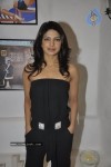 Bolly Celebs at Dabboo Ratnani Calendar Launch - 34 of 123