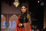 Bolly Celebs at IIJW 2012 Day 1 - 29 of 143