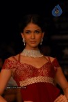 Bolly Celebs at IIJW 2012 Show - 10 of 247