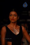 Bolly Celebs at IIJW 2012 Show - 31 of 247