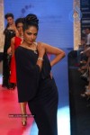 Bolly Celebs at IIJW 2012 Show - 44 of 247