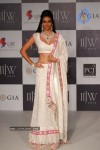 Bolly Celebs at IIJW 2012 Show - 60 of 247
