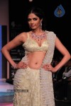 Bolly Celebs at IIJW 2012 Show - 99 of 247