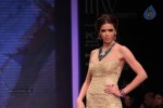 Bolly Celebs at IIJW 2012 Show - 138 of 247