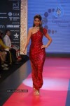 Bolly Celebs at IIJW 2012 Show - 144 of 247