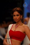 Bolly Celebs at IIJW 2012 Show - 159 of 247