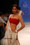 Bolly Celebs at IIJW 2012 Show - 186 of 247