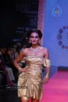 Bolly Celebs at IIJW 2012 Show - 196 of 247