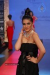 Bolly Celebs at IIJW 2012 Show - 197 of 247