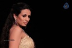 Bolly Celebs at IIJW 2012 Show - 208 of 247