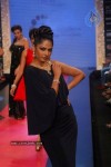 Bolly Celebs at IIJW 2012 Show - 209 of 247
