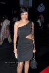 Bolly Celebs at IIJW 2012 Show - 219 of 247